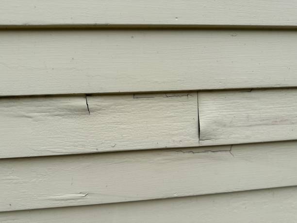 Best Wood Siding Installation  in Cocoa West, FL